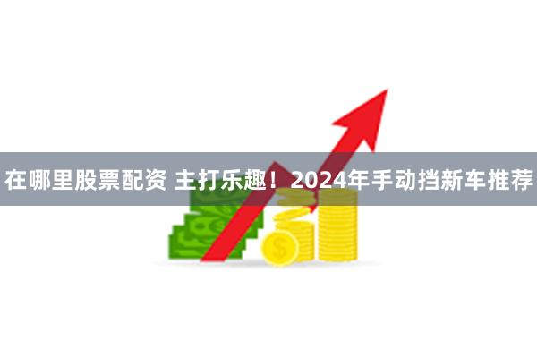 在哪里股票配资 主打乐趣！2024年手动挡新车推荐