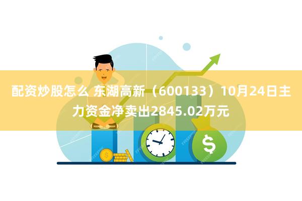 配资炒股怎么 东湖高新（600133）10月24日主力资金净卖出2845.02万元