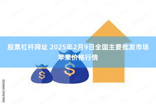 股票杠杆网址 2025年2月9日全国主要批发市场苹果价格行情